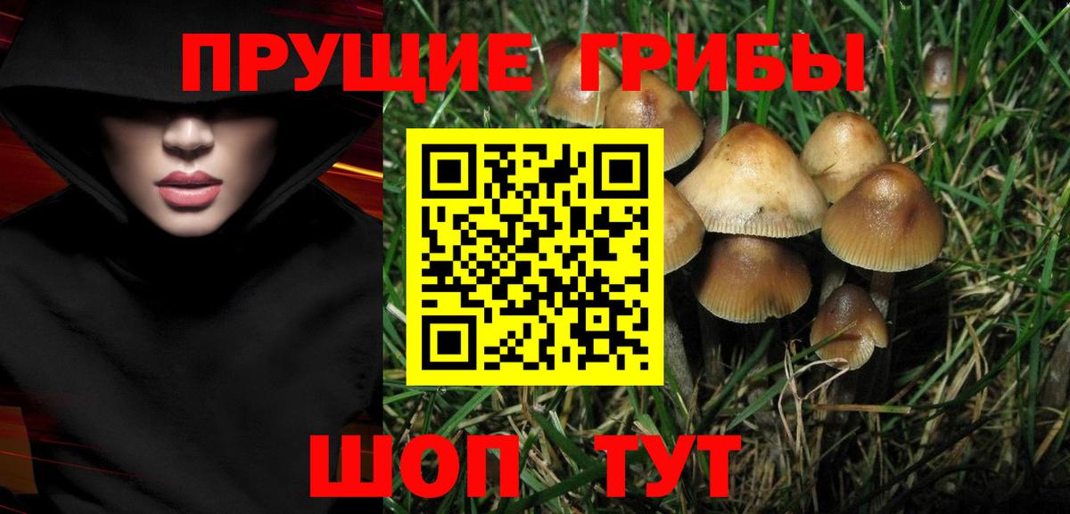 Псилоцибиновые грибы Magic Shrooms  Вход с VPN  Балашиха 